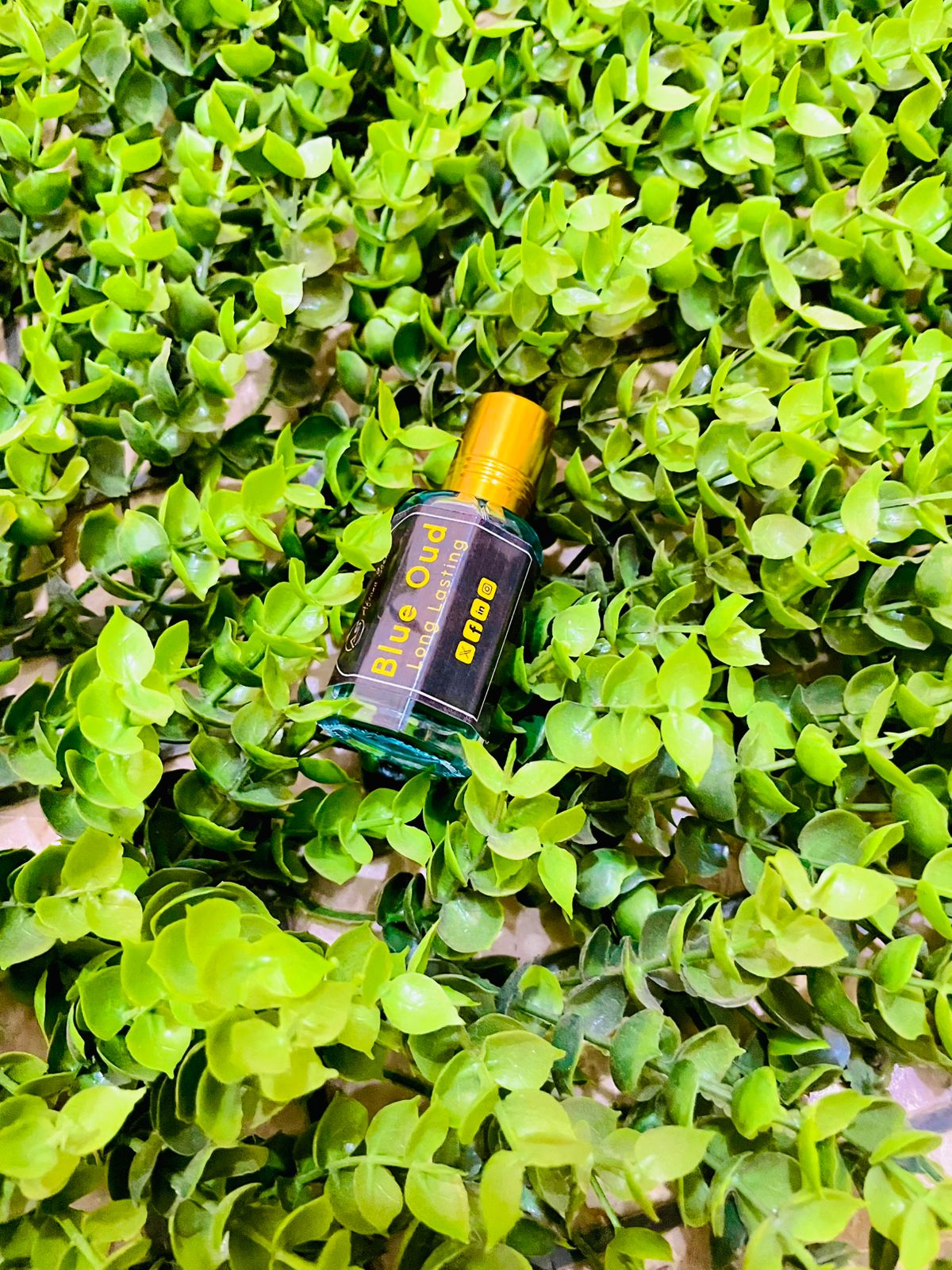 Our Top 5 Signature Scents