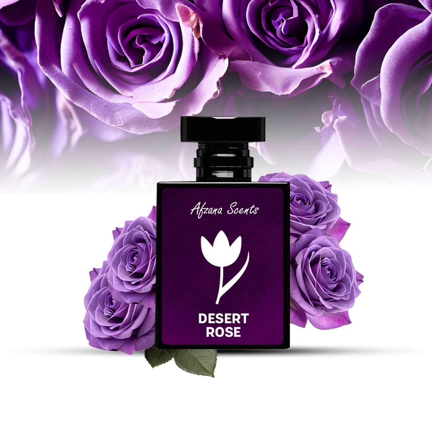 Desert Rose