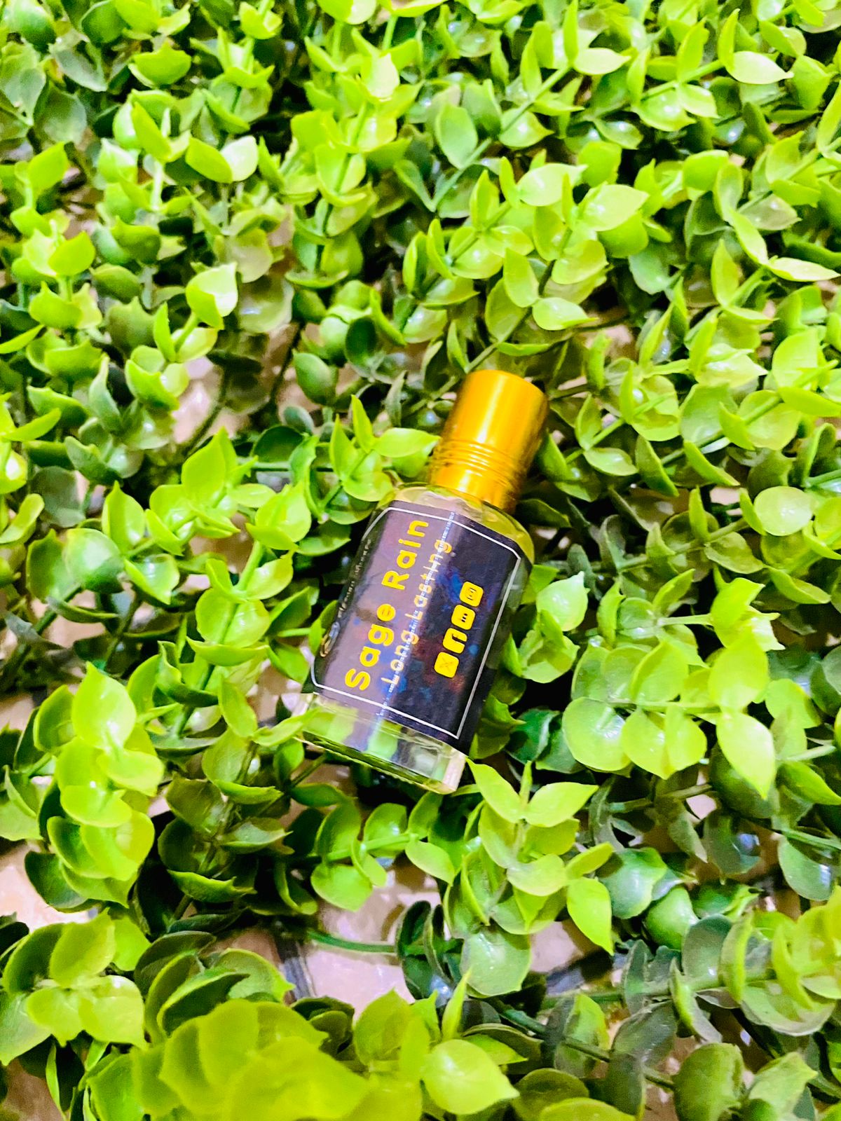 Our Top 5 Signature Scents